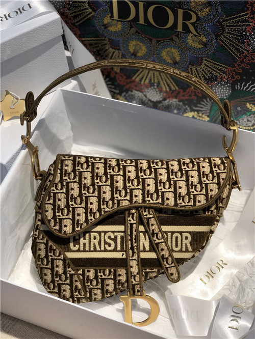 dior around the world saddle bag