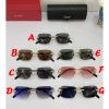 Cartier  Sunglasses  CT0271