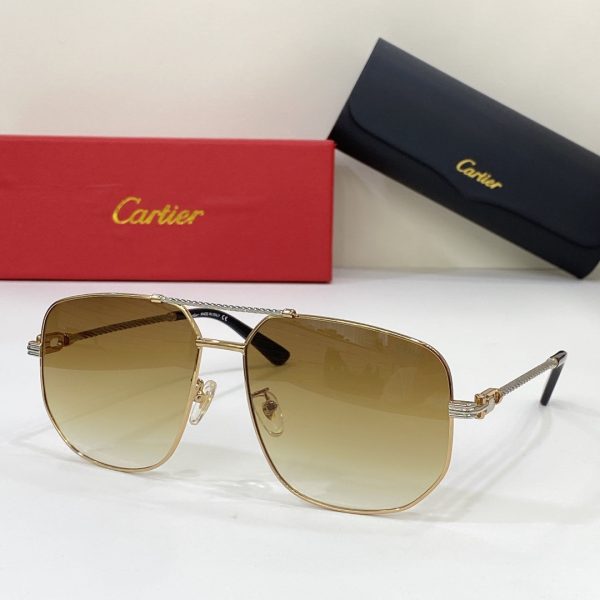 Cartier  Sunglasses  Ca0119/S - Image 6
