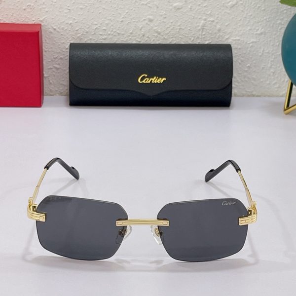 Cartier  Sunglasses  CT0271 - Image 3