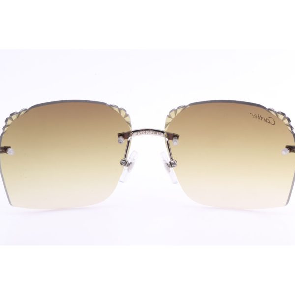 Cartier  8300818 Engrave Lens White Mix Black Buffalo Sunglasses In Silver Brown - Image 9