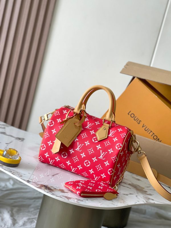 VersionThe Bandouliere 25 handbag is from Pharrell Williams' 2024 a