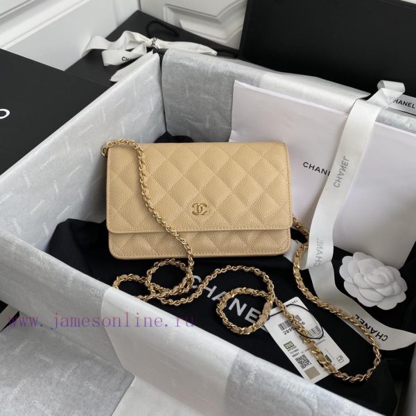 Chanel Bag The spring and summer new version of WOC Wealth Bag A0250 features a classic desi ohmlcwd1