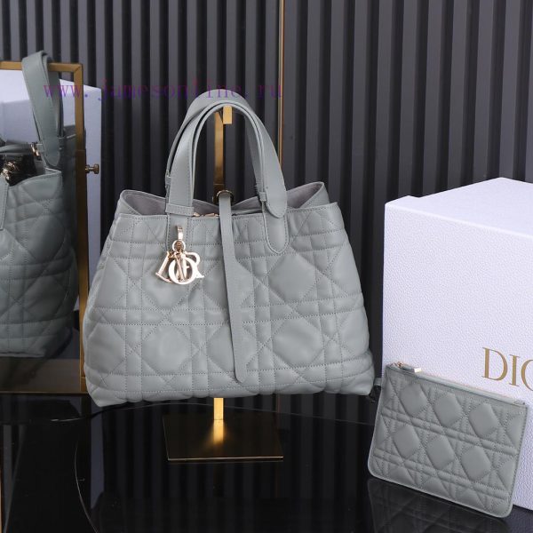 Rock Lime Medium New Toujours Handbag, this Dior Toujours handbag made a wonderful debut in rr1ga6bs
