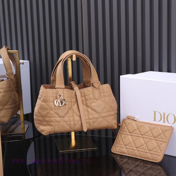 The caramel colored new Toujours handbag, a Dior Toujours handbag, made a wonderful debut in 6u76t5kk